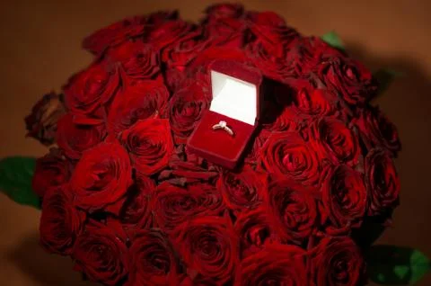 Front view of beautiful wedding ring with precious stone in red velvet gift b Stock Photos