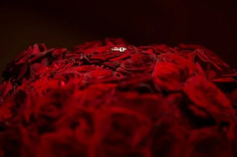 Front view of beautiful wedding ring with precious stone on red roses backgro Foto stock