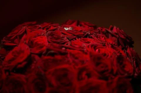 Front view of beautiful wedding ring with precious stone on red roses backgro Stock Photos