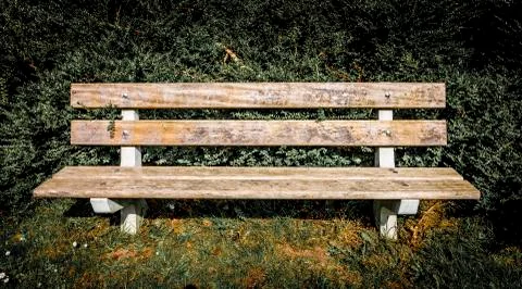 Front view of a bench in a park Stock Photos