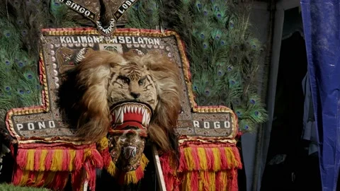 Front view of big tiger head mask ornamented with peacock feather, front view Stock Footage 130597553