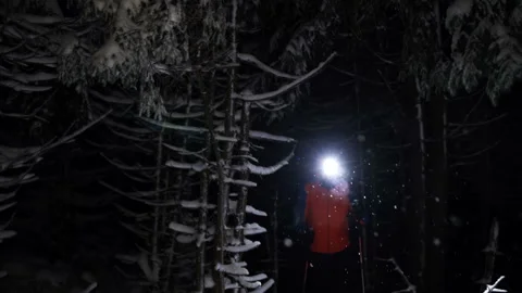 Front view of Brave man with headlamp wandering through forest in cold winter ni Stock Footage 146972285