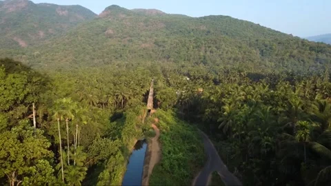 Front View of Bridge Ending with Stream Starting, Surrounded by Trees Stock Footage 284376367
