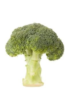 Front view of broccoli Stock Photos
