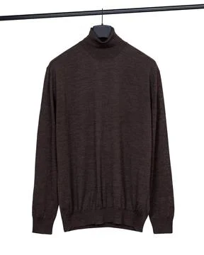 Front View of brown Wool Turtleneck Stock Photos
