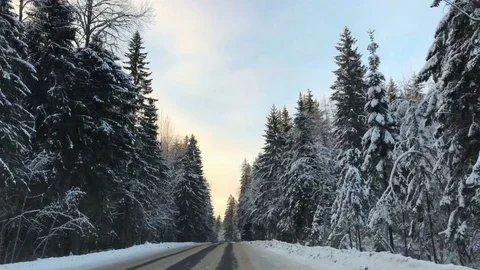 Front view from car mounted camera when vehicle driving winter snowy forest road Stock Footage 73367207