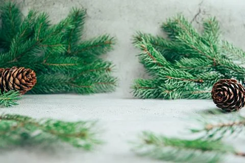 Front view of Christmas or winter, New Year background layout with fir tree.. Stock Photos