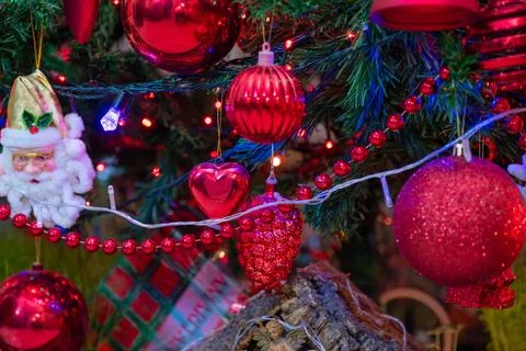 Front view for christmas tree with focus on it is red decorations Stock Photos