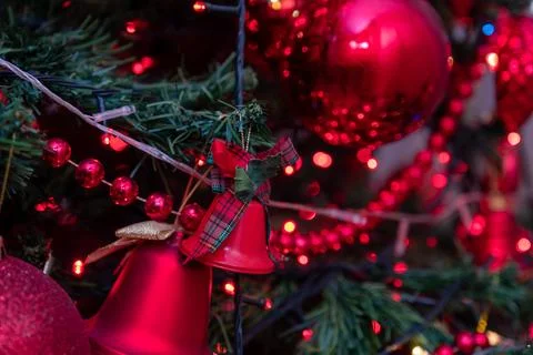 Front view for christmas tree with focus on it is red decorations Stock Photos