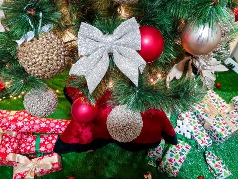 Front view for christmas tree with focus on it is red decorations Stock Photos