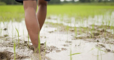 Front view, close up handheld shot of male farmer, Portrait Young adult topless Stock Footage 202053892