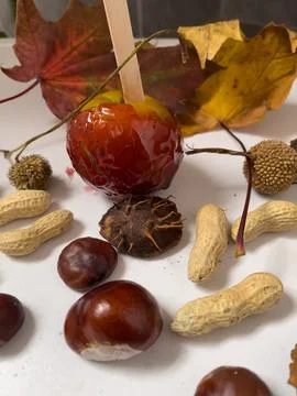 Front view, close up of a  toffee apple, autumn coloured maple leaves 写真素材