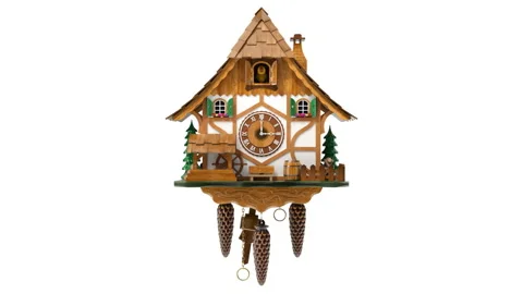 Front view of cuckoo clock animation 스톡 동영상 149181731