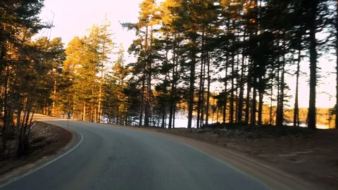 Front view from driving car on road in pine tree forest Видео 72536499