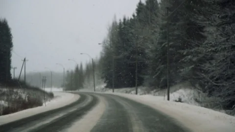 Front view from driving car on road in pine tree forest Video stock 72789884