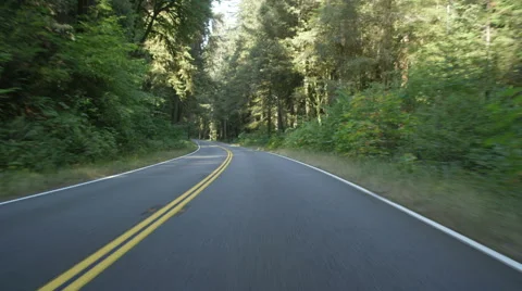 Front view of a Driving Plate: Car travels west on the Redwood Highway near Stock Footage 59510855