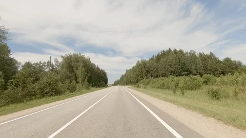 Front view driving plate. Car moving through forest in sunny daytime. POV  4K Vidéo 113693221