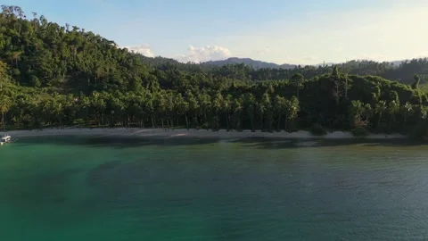 Front view drone footage of Coconut Beach in Port Barton, urquoise waters 스톡 동영상 331221654