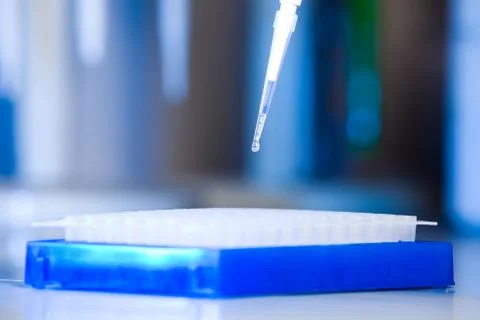 Front view, drop on tip of pipette above plate Stock Photos