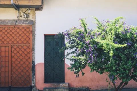 Front view of the facade of the wall house with doors and gates. Tree with fl Stock Photos