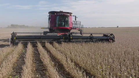 Front View of Farmer Operating Combine H... | Stock Video | Pond5