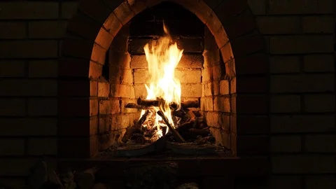 Front view of fireplace with burning firewood at night Vidéo 100361207