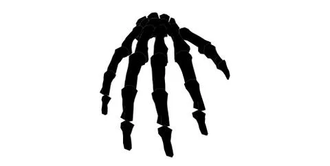 Front view of forearm in black and white isolated background Stock Illustration