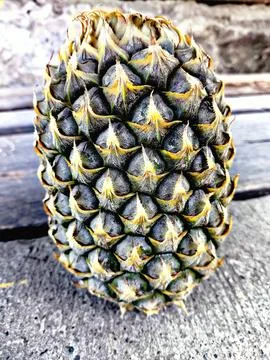 Front View of a Fresh Pineapple on a Concrete Floor Stock Photos