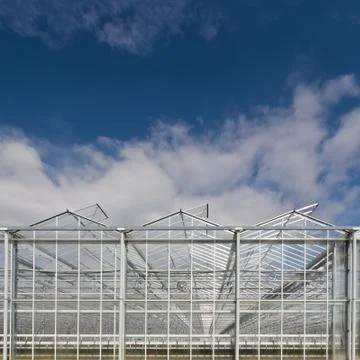 Front view of a greenhouse Foto stock