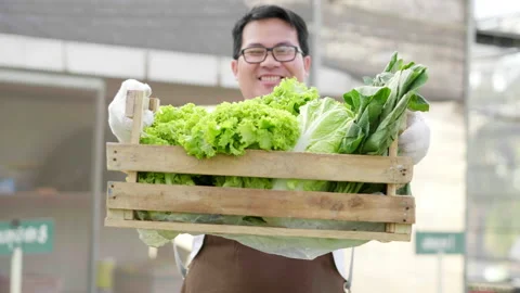 Front view of happy Asian farmer standing and presenting the hydroponic 스톡 동영상 221694489