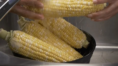 Front view-hotel chef washing organic corn to bake corn bread 4k Stock Footage 96154497