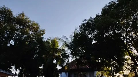 The front view of the house decorated with very beautiful trees Stock Footage 212800623