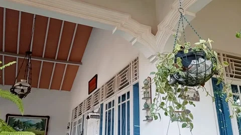 Front view of house with a flower in the hanging pot Stock Footage 137067148