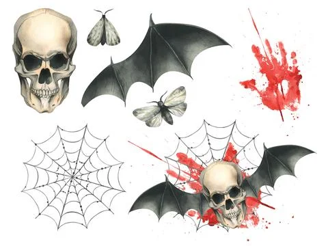 Front view of a human skull with black bat wings with a bloodstain and cobwebs Stock Illustration