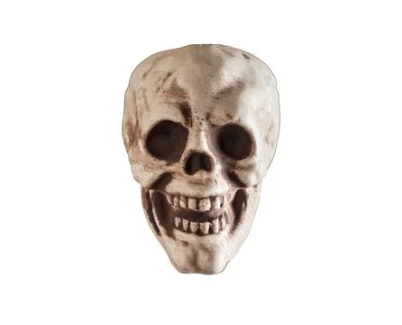 Front view of human skull isolated on white background. Halloween holiday or  Stock Photos