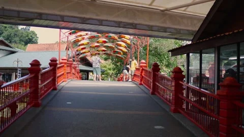Front view of iconic skybridge garden attraction park with colorful umbrellas Stockbeeldmateriaal 294687405