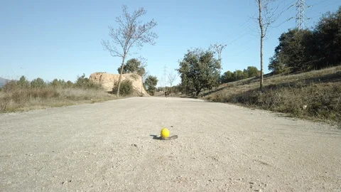 Front view of a Labrador retriever running for a ball in slow motion Stock Footage 122386441