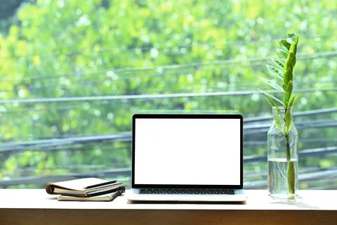 Front view laptop computer, books and plant on wooden table. Stock Photos