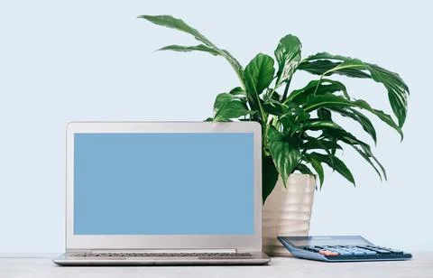 Front view of the laptop with mockup screen on the desk. calculator Stock Photos