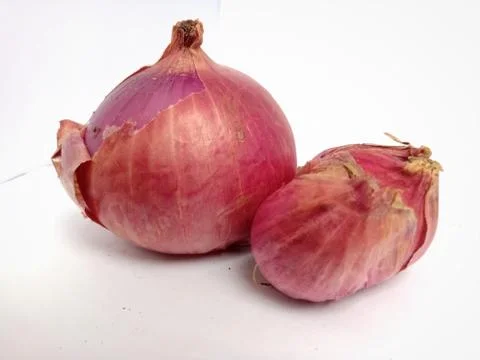 Front view of a large onion and small onions Stock Photos