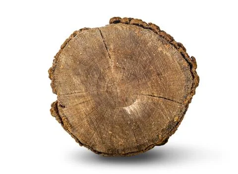 Front view of a log Stock Photos