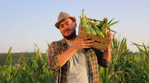 Front view looking at camera young man farmer agronomy stand in field with box Stock Footage 205918132