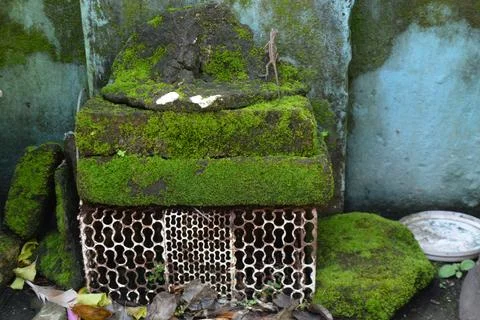 Front view of moss block with rust grate and blue wall Stock Photos