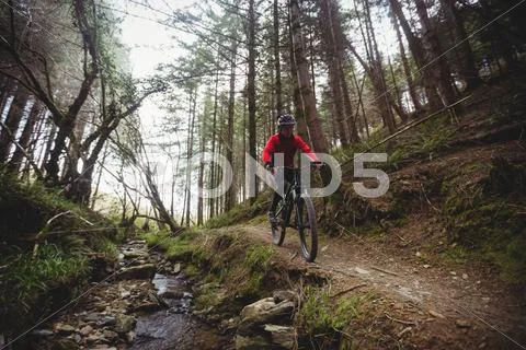Front View Of Mountain Biker Riding On Trail By Stream In Forest