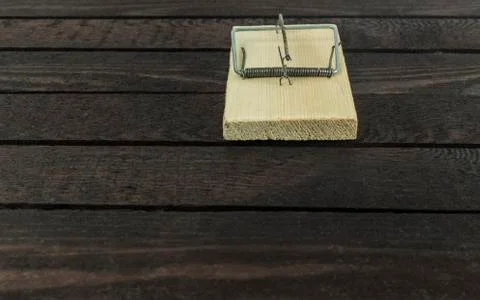 Front view of mouse trap on dark brown wooden background. Stock Photos