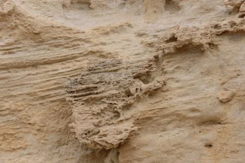 Front view of the natural background of yellow limestone with the bumpy surfa Stock Photos