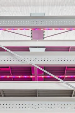 Front view of a new vertical farming system with illuminated led lights Stock Photos