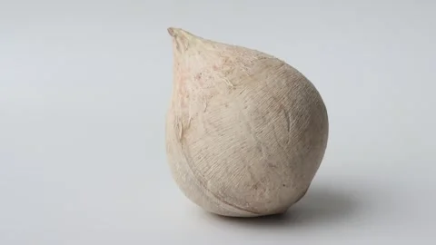 Front view of a one coconut on a white background Stock Footage 315728989