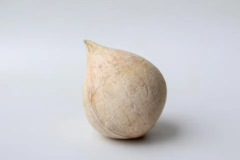 Front view of a one coconut on a white background Foto stock