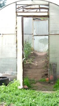 Front view of the open door of a polycarbonate greenhouse, inside of which green Stock Photos